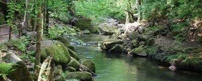 みんなdeゆるキャンの活動紹介