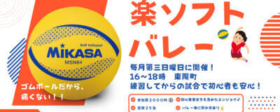 楽ソフトバレーの活動紹介