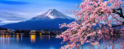 せどり仕入れツアーの活動紹介