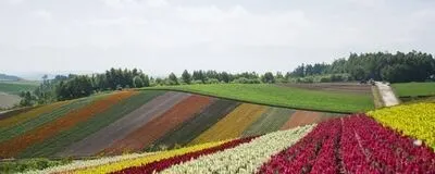 HYOGO PHOTO CIRCLEの活動紹介