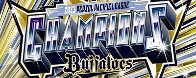 バファエールの活動紹介
