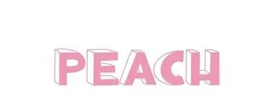 Studio PEACHの活動紹介