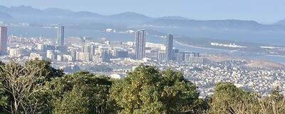 福岡Redvickiesの活動紹介