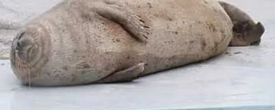 フットサルしようよの活動紹介