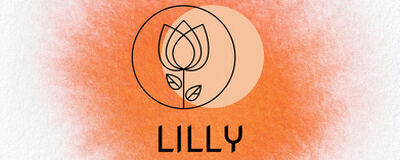 Lillyの活動紹介