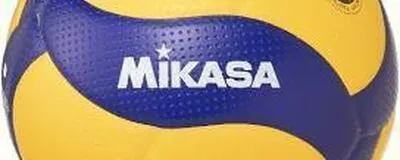 コロランテの活動紹介