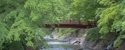 しゃらくの活動紹介