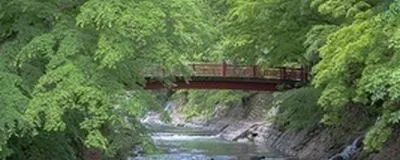 しゃらくの活動紹介