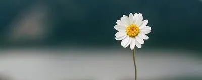 一日一個　人の役に立つの活動紹介