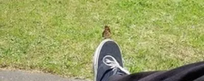 サカラクの活動紹介