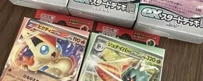 ポケカデツナガルの活動紹介