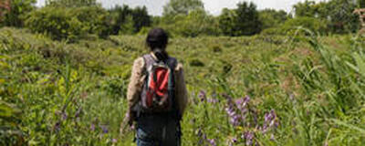 Summit　HIKEの活動紹介