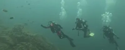 オーシャンの活動紹介