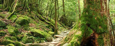 宮城仙台登山の活動紹介