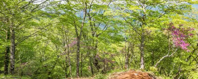 群馬登山チームの活動紹介