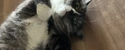 ギターアンサンブルミューズの活動紹介
