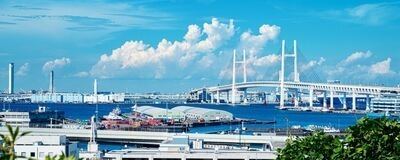 のんびりカメラサークルの活動紹介