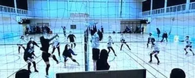 なでしこ同好会の活動紹介