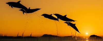 【新規サークル】カメラサークル -Saison(セゾン)-の活動紹介
