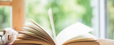 のんびり読書会の活動紹介