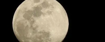 photo walkの活動紹介