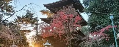 LINEグループ「ゆるふわ歴史会」の活動紹介