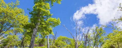栃木休日登山クラブの活動紹介