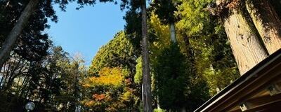 運氣アップ❣️元氣チャージ隊🌈の活動紹介