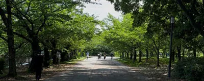 Fun ＆ Runの活動紹介
