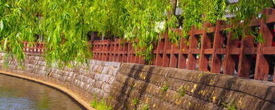 県民の集いの活動紹介