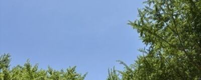 身体が硬い人のための朝ヨガ教室の活動紹介