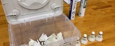 ハネバド！の活動紹介
