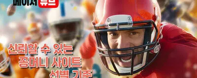 メジャーサイトの活動紹介
