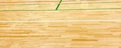 ミントンの活動紹介