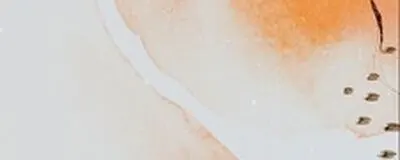バレーボールサークル SOLANAの活動紹介