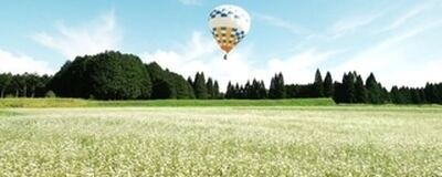 しゃらく2025の活動紹介