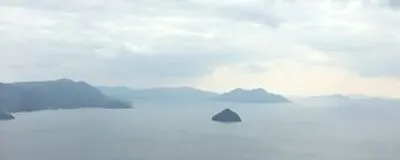Free-worldの活動紹介