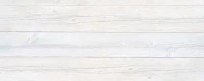 SCREENの活動紹介