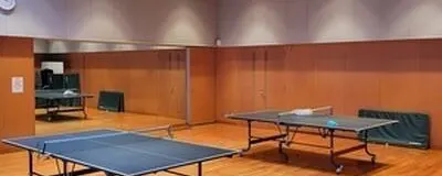 レイズ卓球練習会の活動紹介