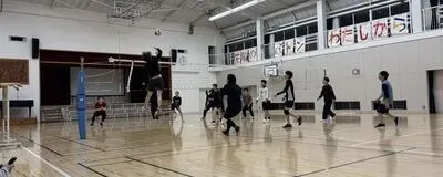 HALOの活動紹介