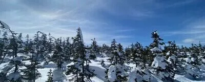 初心者から上級者まで気軽にスノーボードを楽しむ社会人サークル🏂の活動紹介