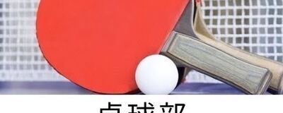 20〜30代中心！ゆるく楽しむ卓球サークル😊初心者・1人参加OK！の活動紹介