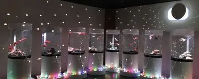 SMILE KINGの活動紹介