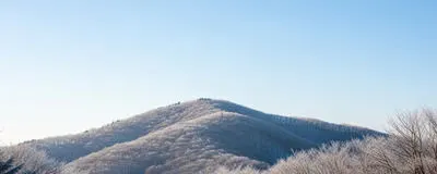 社会人向け関東登山の活動紹介