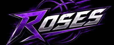 ROSESの活動紹介
