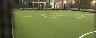 FFCの活動紹介