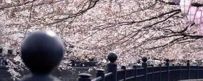 【5/21(木)開催】横浜夜散歩の活動紹介