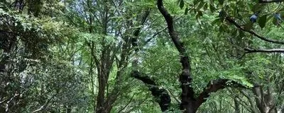 アコギサークル(仮)の活動紹介