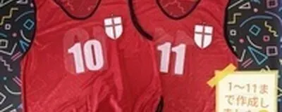 MILANISTAの活動紹介