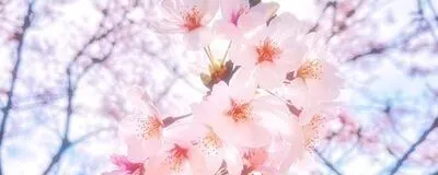 Trinityの活動紹介